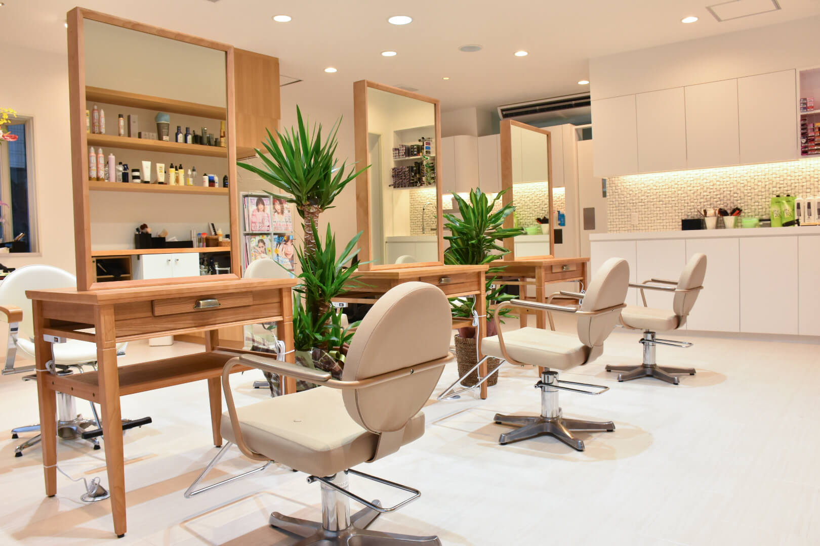 BEETLE | BEETLE・Beetle-ID・D-sence・elteeb